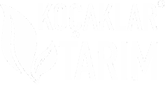 logo_beyaz